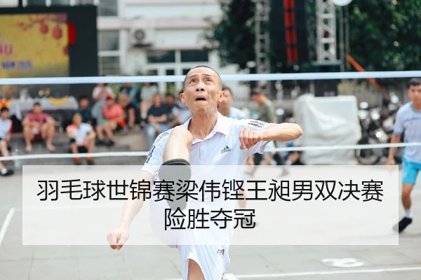 羽毛球世锦赛梁伟铿王昶男双决赛险胜夺冠